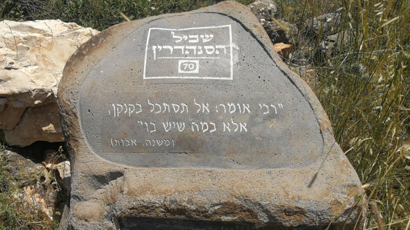 What Makes a Site “Persuasive”? Once Upon a Wedding Feast in Galilee, Tradition Points to Kafr Kanna—But Does the Evidence?, Enter Khirbet Qana, the Biblical Underdog, A Cave Shrine Beneath the Ruins, Six Jars, Just Like the Gospel Said, Pilgrims Believed in Khirbet Qana for Centuries, Josephus May Back It Up Too, What Makes a Site “Persuasive”?, The Long Memory of the Cave, Not Just a Pile of Old Jars, So Why Is Kafr Kanna Still the Popular Choice?, Comparing the Two Cana Candidates, Early Maps and Christian Memory, Other Proposed Sites—What About Lebanon?, Could Reineh or Other Sites Fit?, What Experts Are Saying, Not All Scholars Are Convinced—Yet, Can Tourism Shift With the Evidence?, A Real Place for a Real Moment, The Future of the Dig, From Scripture to Soil, Want to Visit? You Can, A Story Written in Stone, Stone Jars in Jewish Ritual Life, What Were These Jars Made Of?, Why the Wedding at Cana Mattered, A Closer Look at John 2:1–11, Christian Pilgrimage in the Byzantine Era, Who Is Dr. Tom McCollough?, The Role of Early Christian Memory, A Quiet Revolution in Biblical Archaeology, Local Response to the Discovery