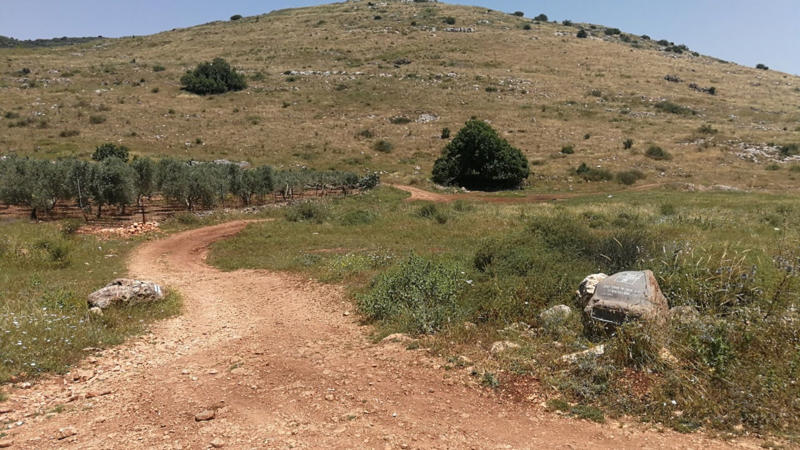 Can Tourism Shift With the Evidence? Once Upon a Wedding Feast in Galilee, Tradition Points to Kafr Kanna—But Does the Evidence?, Enter Khirbet Qana, the Biblical Underdog, A Cave Shrine Beneath the Ruins, Six Jars, Just Like the Gospel Said, Pilgrims Believed in Khirbet Qana for Centuries, Josephus May Back It Up Too, What Makes a Site “Persuasive”?, The Long Memory of the Cave, Not Just a Pile of Old Jars, So Why Is Kafr Kanna Still the Popular Choice?, Comparing the Two Cana Candidates, Early Maps and Christian Memory, Other Proposed Sites—What About Lebanon?, Could Reineh or Other Sites Fit?, What Experts Are Saying, Not All Scholars Are Convinced—Yet, Can Tourism Shift With the Evidence?, A Real Place for a Real Moment, The Future of the Dig, From Scripture to Soil, Want to Visit? You Can, A Story Written in Stone, Stone Jars in Jewish Ritual Life, What Were These Jars Made Of?, Why the Wedding at Cana Mattered, A Closer Look at John 2:1–11, Christian Pilgrimage in the Byzantine Era, Who Is Dr. Tom McCollough?, The Role of Early Christian Memory, A Quiet Revolution in Biblical Archaeology, Local Response to the Discovery