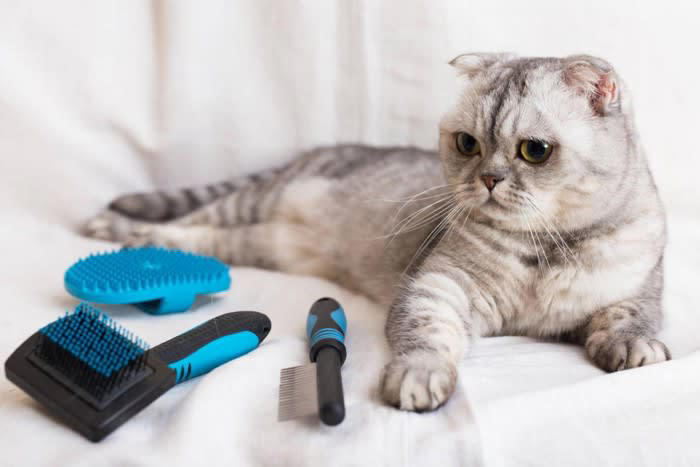 猫をうっとりさせるブラッシングテク5選, 1.猫の好みのスポットから始める, 2.毛の流れに沿ってブラッシング, 3.安定した動きでリラックス効果を, 4.敏感な部位には特別な配慮を, 5.ご褒美とセットでポジティブな体験に, 猫が喜ぶブラシのタイプ別解説, スリッカーブラシ, アンダーコートトリマー