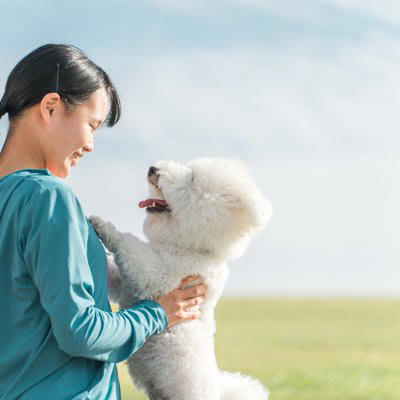 1.大興奮で大喜びする, 2.仰向けに寝転がってお腹を見せる, 3.素っ気ない態度でお出迎えをする, 4.唸ったり吠えたりして威嚇する
