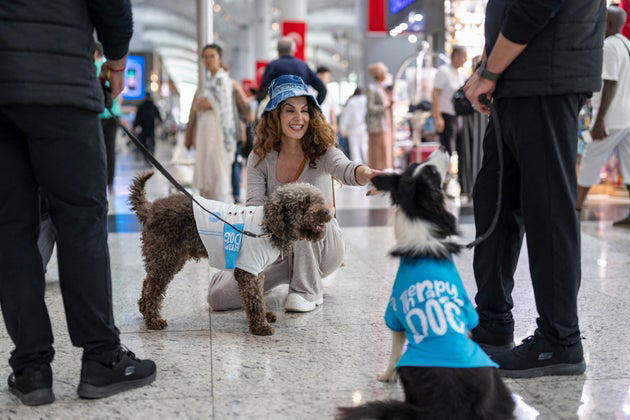 Free Cookies, Therapy Dogs ... And Llamas And Alpacas, Swimming Pools, Yoga And Meditation Rooms, Marriage License Bureaus, Live Music, Libraries, Movie Theaters, Ice Skating, Workspaces, City Tours, Gardens And Green Spaces, Outdoor Terraces, VIP Areas With Private Security, Visitor Passes For Non-Passengers, Museums, Bikes, Fitness Centers, Spa Treatments