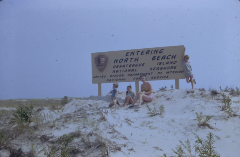 Groovier Days, Hot pokers all around, My father and his friends at Manhattan Beach, Camping in the '70s, Welcome to Hawaii, My dad in the ‘70s, The family on vacation around 1975 in North Carolina, Summer time and the living is easy, Chesapeake Bay beaches, My dad on his travels, Family hiking/camping trip, My uncle when his parents moved out