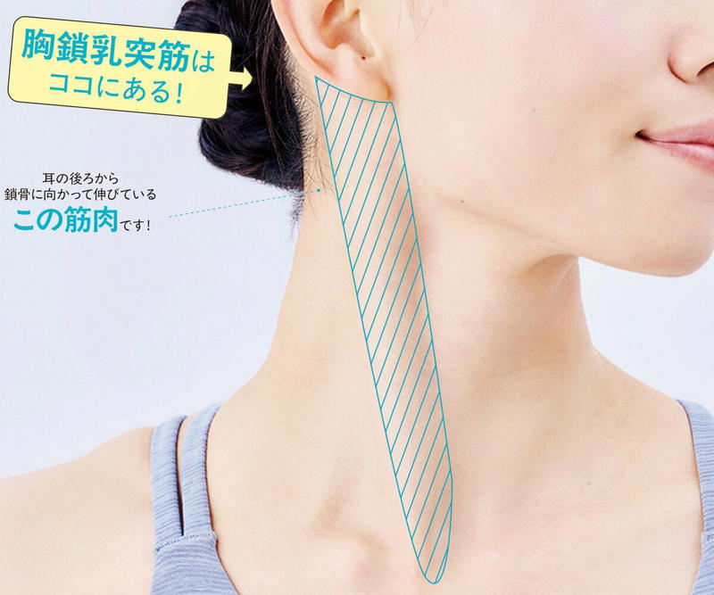 胸鎖乳突筋がこっていると、老け見え・体の不調の原因に, 胸鎖乳突筋の「基本のほぐし方」4つ, 1日1分でOK！「胸鎖乳突筋ほぐし」はココに効く！, 「胸鎖乳突筋ほぐし」を1週間チャレンジ, 肩・首コリがひどくよく眠れない日も…