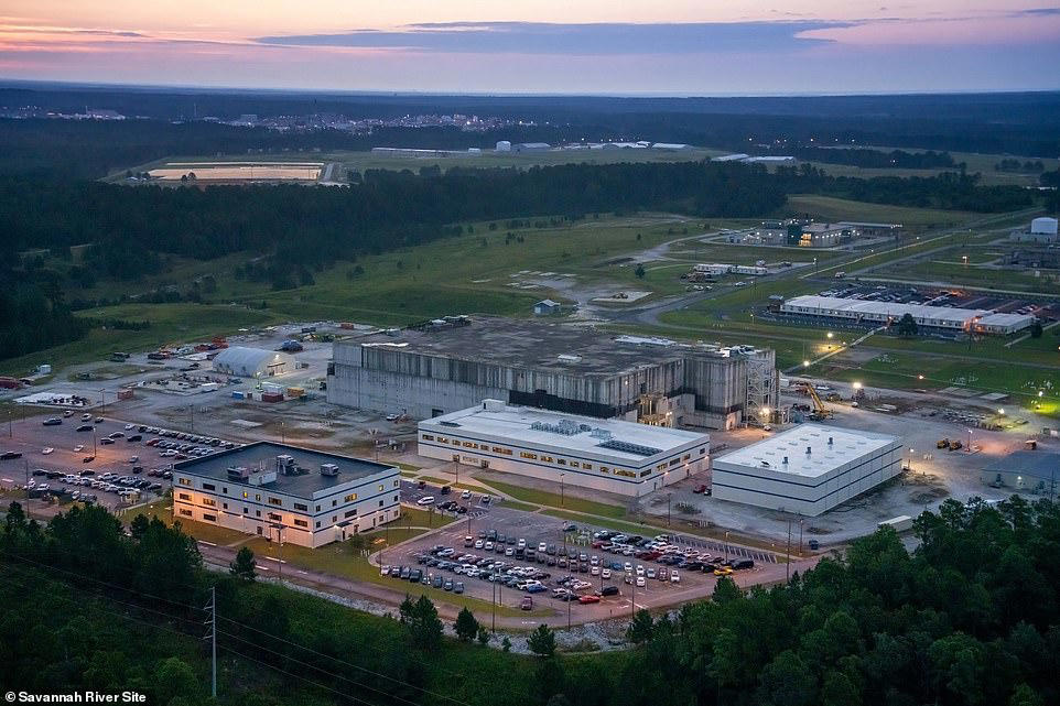 More radioactive wasp nests found at former US nuclear bomb site