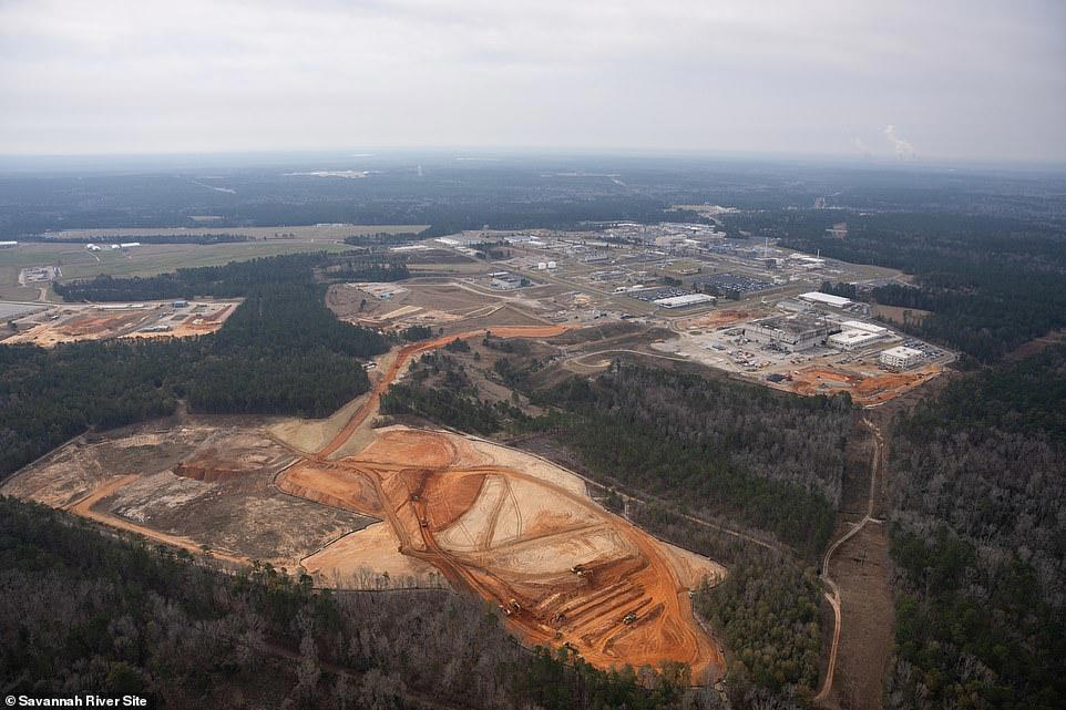 More radioactive wasp nests found at former US nuclear bomb site