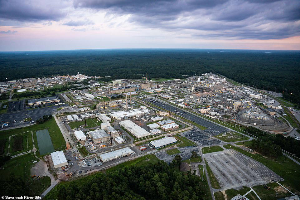 More radioactive wasp nests found at former US nuclear bomb site