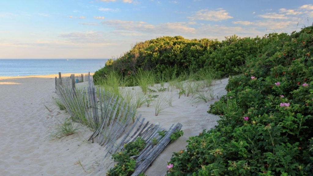 1. Cape May, New Jersey, 2. Seabrook, Washington, 3. Shelter Island, New York, 4. Laguna Beach, California, 5. Port Aransas, Texas, 6. Key West, Florida, 7. Block Island, Rhode Island