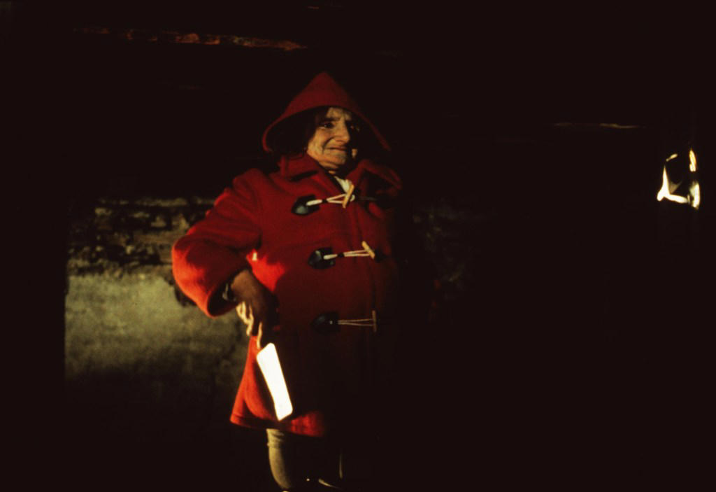 Acclaimed thriller hailed as a ‘masterpiece’ now available to stream