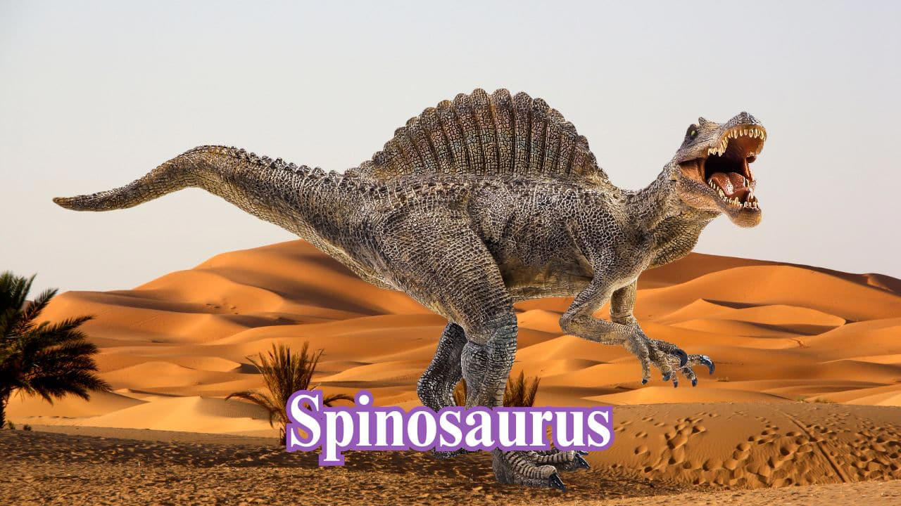 Spinosaurus: Spinosaurus was one of the longest carnivorous dinosaurs, measuring over 50 feet. It had a sail-like spine and likely hunted in rivers and wetlands. (Image: Canva)