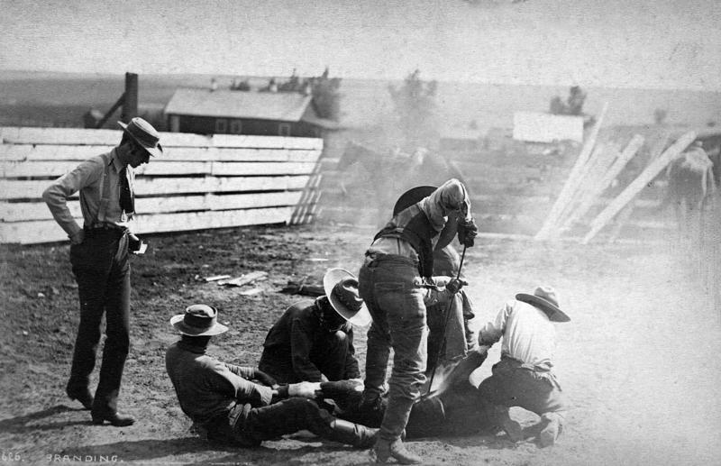All cowboys wore cowboy hats, All cowboys were white, All cowboys carried guns, Cowboys only carried pistols, Cowboys had rowdy lifestyles, Cowboys always rode horses, They spoke in a distinct drawl, They were mostly young, They were mostly men, They spent a long time in saloons, They wore cool clothes, They always won showdowns, Cowboys were illiterate, They spent most of their time on cattle drives, Cowboys played the guitar or harmonica