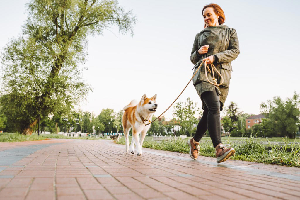 What did the researchers do? What do experts say?, What did the researchers do?, What did they find?, How long does it take to walk 7,000 steps?