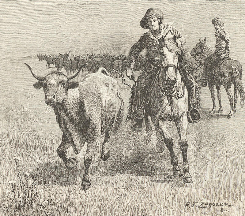 All cowboys wore cowboy hats, All cowboys were white, All cowboys carried guns, Cowboys only carried pistols, Cowboys had rowdy lifestyles, Cowboys always rode horses, They spoke in a distinct drawl, They were mostly young, They were mostly men, They spent a long time in saloons, They wore cool clothes, They always won showdowns, Cowboys were illiterate, They spent most of their time on cattle drives, Cowboys played the guitar or harmonica