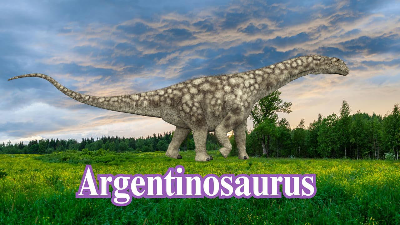 Argentinosaurus: Argentinosaurus was a massive sauropod dinosaur, possibly the largest land animal ever. It stretched over 100 feet long and weighed nearly 100 tonnes. (Image: Canva)