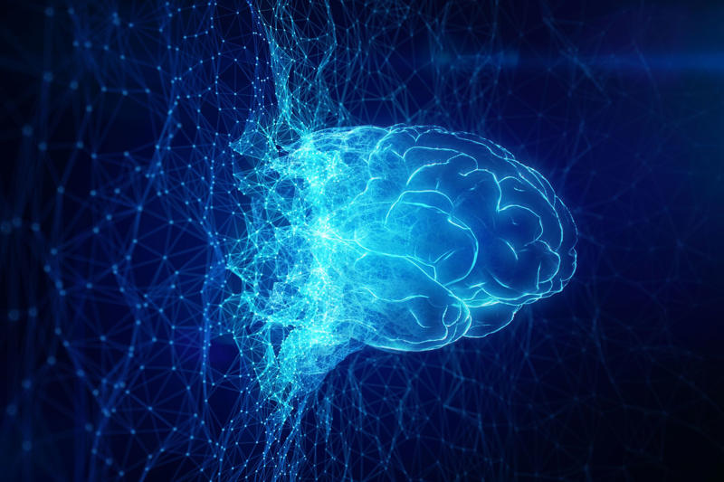 When science fiction becomes reality, The new AI?, Connecting neurons, More advanced intelligence, Conclusive experiments, Cultured neurons, A miniature brain, The fusion of biology and computer science, Very fast learning, Complementary with AI, Human intelligence reproduced, A more energy-efficient solution, Other prototypes, The limits of the system, Biological obstacles, For sale at ,000