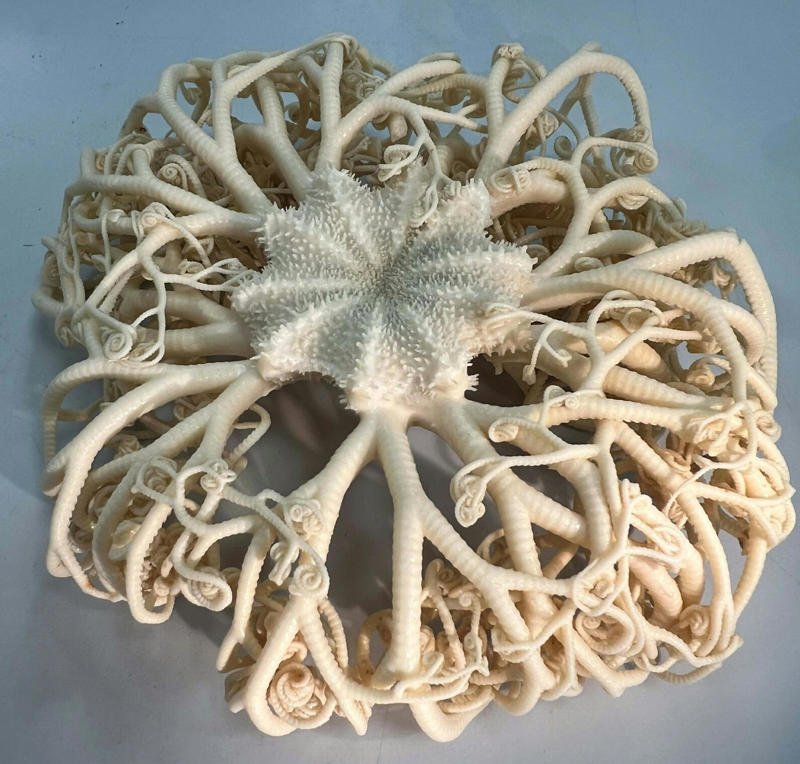 Five arms, no brain, no eyes or heart, Deep-sea lifestyles, How eggs and larvae roam the globe, A patchwork of deep-sea life