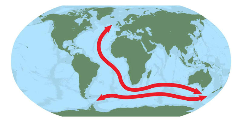 Five arms, no brain, no eyes or heart, Deep-sea lifestyles, How eggs and larvae roam the globe, A patchwork of deep-sea life