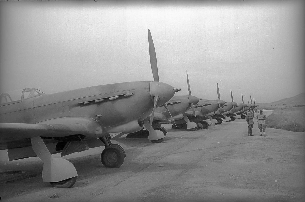 11: Bücker Bü 181 Bestmann, 11: Bü 181 Bestmann, 10: L-4 Grasshopper, 9: Junker Ju 88, 8: Focke-Wulf Fw 190, 7: Hawker Hurricane, 6: Yakovlev Yak-9, 5: Hawker Typhoon, 4: Republic P-47 Thunderbolt, 3: Junkers Ju 87 Stuka, 3: Ju 87 Stuka, 2: Ilyushin Il-2 ‘Shturmovik’, 2: Ilyushin Il-2, 1: Henschel Hs 129