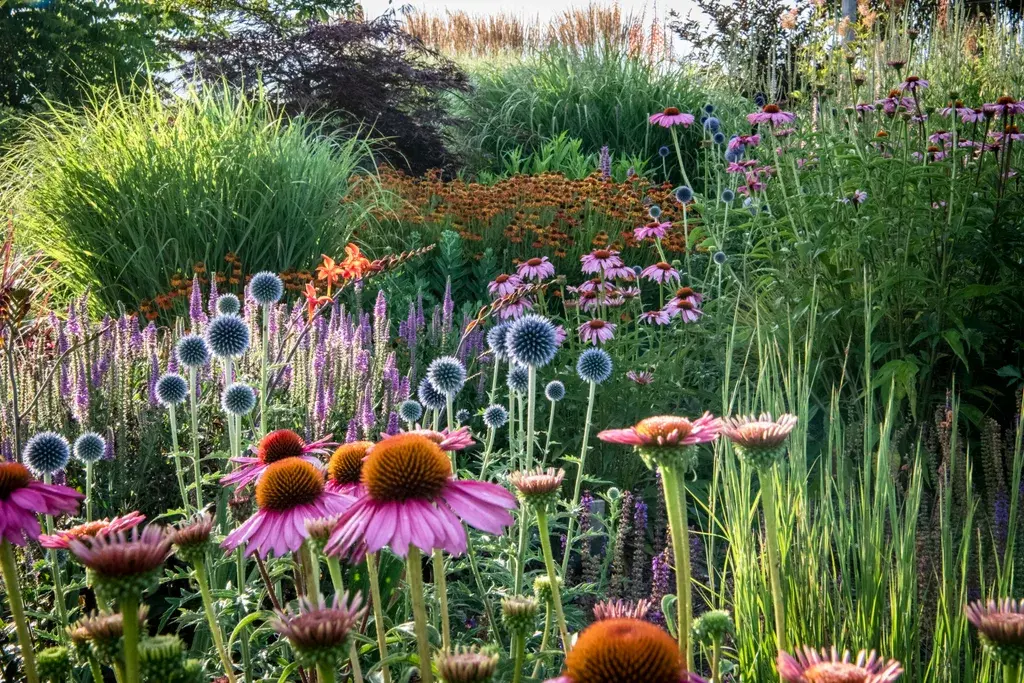 Benefits of having a non-grass lawn , Grass vs lawn alternatives, Different plants you can use as lawn alternatives, Reasons your garden may need a lawn alternative, Installing and growing an alternative lawn , Lawn alternative maintenance and care, Foot traffic on your ‘no-mow’ lawn