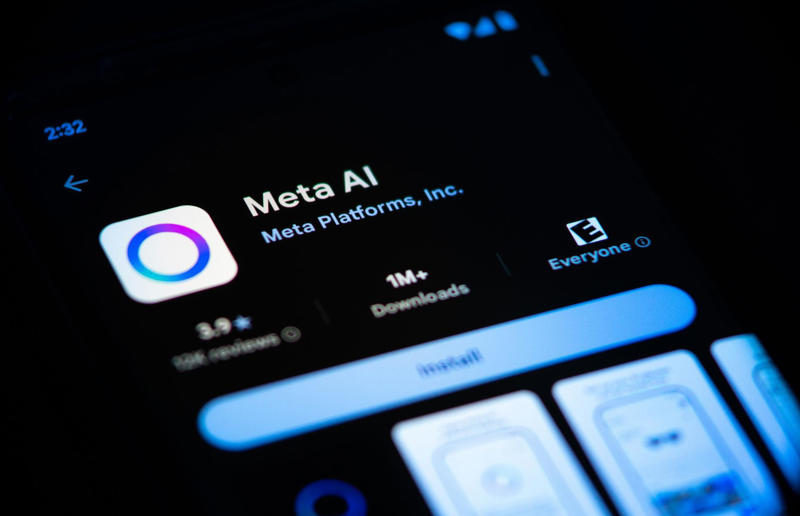 9. Meta Platforms, net profit margin: 28.98% 20. China Construction Bank, net profit margin: 23.51%, 17. PDD Holdings, net profit margin: 24.24%, 16. Petrobras, net profit margin: 24.3%, 15. Saudi Aramco, net profit margin: 24.39%, 14. Apple, net profit margin: 25.31%, 13. Berkshire Hathaway, net profit margin: 26.4%, 12. Novartis, net profit margin: 27.46%, 11. Sberbank, net profit margin: 28.02%, 10. China Merchants Bank, net profit margin: 28.96%, 9. Meta Platforms, net profit margin: 28.98%, 8. Microsoft, net profit margin: 34.15%, 7. Novo Nordisk, net profit margin: 36.03%, 6. Johnson & Johnson, net profit margin: 36.93%, 5. UBS Group, net profit margin: 39.09%, 4. Broadcom, net profit margin: 39.31%, 3. TSMC, net profit margin: 39.4%, 2. Nvidia, net profit margin: 48.85%