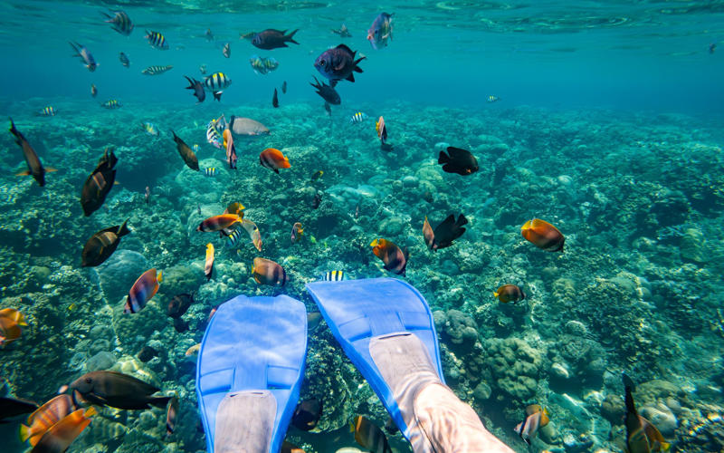 Find beaches by type:, Best beaches for peaceful escapes, Pantai Yeh Leh, West Bali, Jungutbatu Beach, Nusa Lembongan, Best beaches for surfing, Uluwatu, Bukit Peninsula, Balian Beach, West Bali, Balangan Beach, Bukit Peninsula, Keramas, East Bali, Best beaches for families, Sanur Beach, South Bali, Padma Beach, South Bali, Best beaches for snorkelling, Amed, East Bali, Pemuteran, North Bali, How we choose, About our expert, Mark Eveleigh