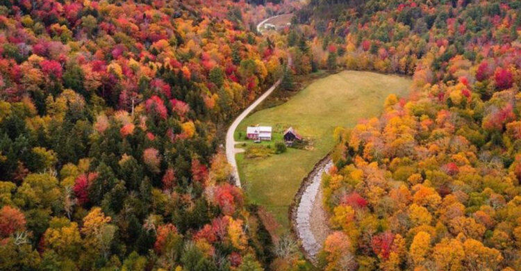 8 Best Places to Be in the U.S. If Society Collapses 1. The Ozarks (Arkansas & Southern Missouri), 2. Northern Idaho (Panhandle Region), 3. Western North Carolina (Appalachian Foothills), 4. The Upper Peninsula of Michigan (U.P.), 5. Central Utah (Wasatch Back or Sevier Valley), 6. The Inland Pacific Northwest (Eastern Washington & Oregon), 7. Alaska (Kenai Peninsula or Interior)