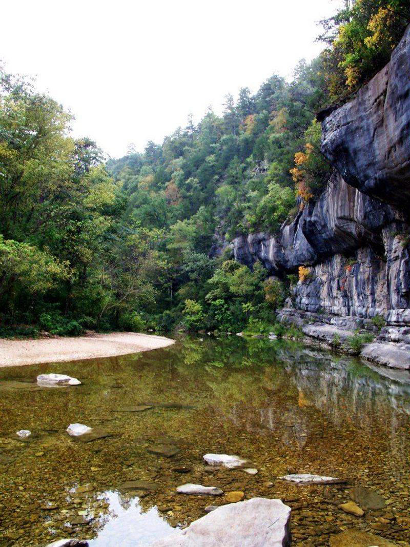 1. The Ozarks (Arkansas & Southern Missouri) 1. The Ozarks (Arkansas & Southern Missouri), 2. Northern Idaho (Panhandle Region), 3. Western North Carolina (Appalachian Foothills), 4. The Upper Peninsula of Michigan (U.P.), 5. Central Utah (Wasatch Back or Sevier Valley), 6. The Inland Pacific Northwest (Eastern Washington & Oregon), 7. Alaska (Kenai Peninsula or Interior)
