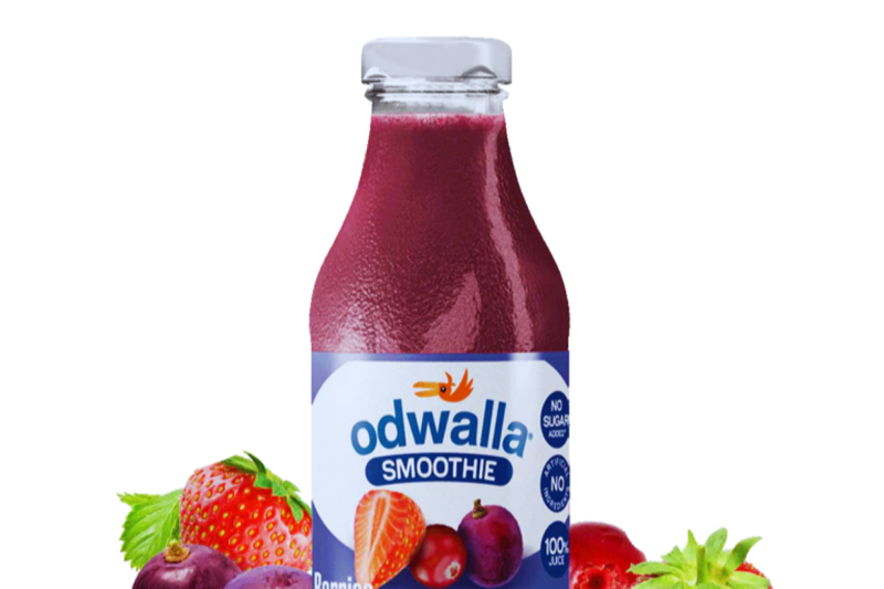 Odwalla Annie’s Homegrown, Burt’s Bees, Stonyfield Farm, Applegate Farms