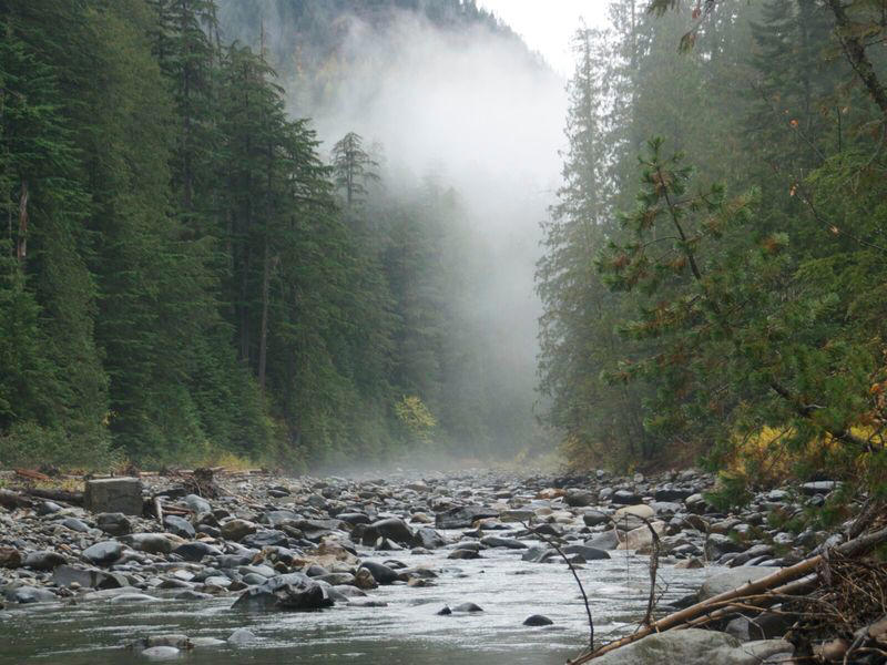2. Northern Idaho (Panhandle Region) 1. The Ozarks (Arkansas & Southern Missouri), 2. Northern Idaho (Panhandle Region), 3. Western North Carolina (Appalachian Foothills), 4. The Upper Peninsula of Michigan (U.P.), 5. Central Utah (Wasatch Back or Sevier Valley), 6. The Inland Pacific Northwest (Eastern Washington & Oregon), 7. Alaska (Kenai Peninsula or Interior)