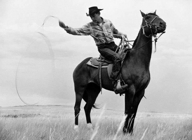 All cowboys wore cowboy hats, All cowboys were white, All cowboys carried guns, Cowboys only carried pistols, Cowboys had rowdy lifestyles, Cowboys always rode horses, They spoke in a distinct drawl, They were mostly young, They were mostly men, They spent a long time in saloons, They wore cool clothes, They always won showdowns, Cowboys were illiterate, They spent most of their time on cattle drives, Cowboys played the guitar or harmonica