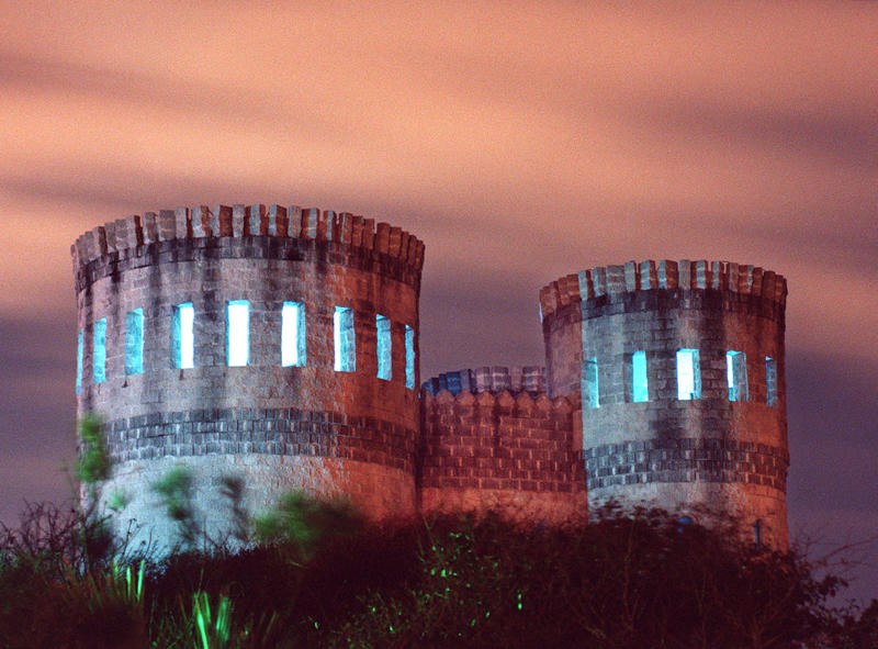 Does Florida have any castles?, How many castles are in St. Augustine, Florida?, Can you still visit Coral Castle in Florida?, Can you go inside the tower at Bok Tower Gardens?, What is the story behind Solomon's Castle in Florida?