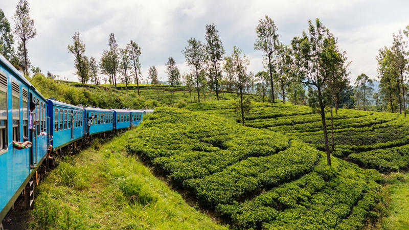 Sri Lanka: Sri Lanka is a charming destination that offers a wealth of experiences, despite its understated nature. Located just a short distance away, the country boasts an array of attractions, including stunning beaches, colonial towns, wildlife, and picturesque tea plantations. (Image: Canva)