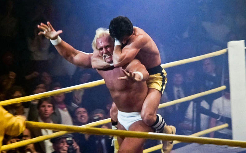 ‘Hulkmania’, Move to Hollywood , Steroid use , Box office bomb