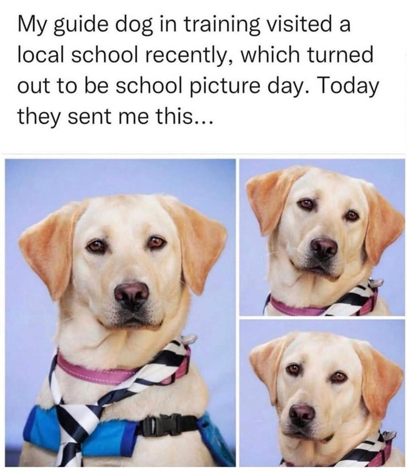 Image 1 of 38, Image 2 of 38, Image 4 of 38, Image 5 of 38, Image 6 of 38, Image 7 of 38, Image 8 of 38, Image 9 of 38, Image 10 of 38, Image 11 of 38, Image 12 of 38, Image 13 of 38, Image 14 of 38, Image 15 of 38, Image 16 of 38, Image 17 of 38, Image 18 of 38, Image 19 of 38, Image 20 of 38, Image 21 of 38, Image 22 of 38, Image 23 of 38, Image 24 of 38, Image 25 of 38, Image 26 of 38, Image 27 of 38, Image 28 of 38, Image 29 of 38, Image 30 of 38, Image 31 of 38, Image 32 of 38, Image 33 of 38, Image 34 of 38, Image 35 of 38, Image 36 of 38, Image 37 of 38, Image 38 of 38