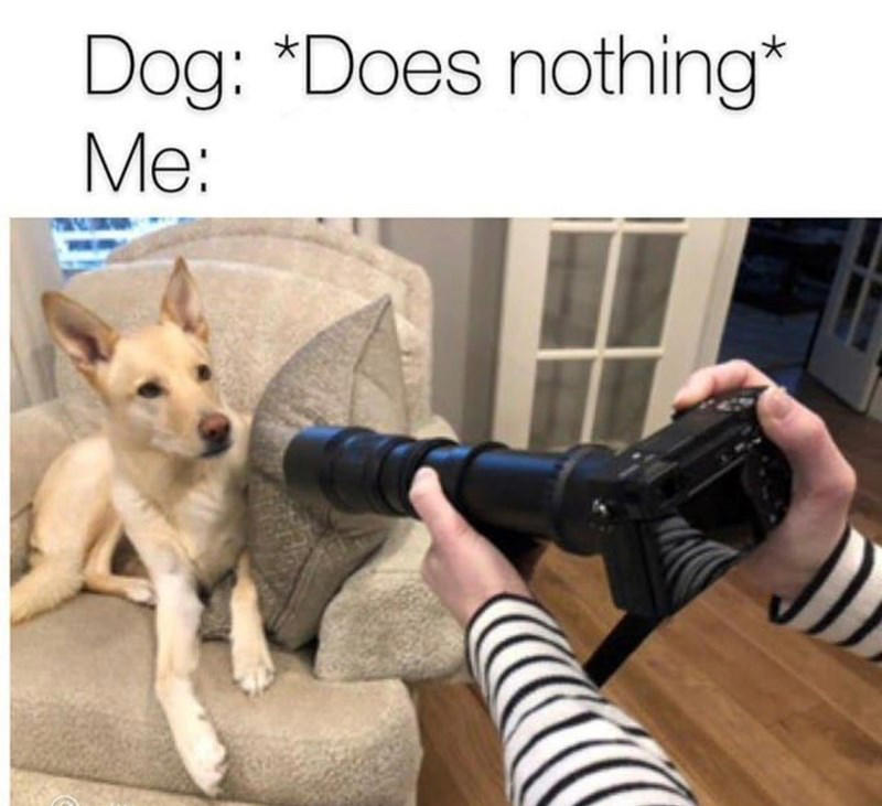 Image 1 of 38, Image 2 of 38, Image 4 of 38, Image 5 of 38, Image 6 of 38, Image 7 of 38, Image 8 of 38, Image 9 of 38, Image 10 of 38, Image 11 of 38, Image 12 of 38, Image 13 of 38, Image 14 of 38, Image 15 of 38, Image 16 of 38, Image 17 of 38, Image 18 of 38, Image 19 of 38, Image 20 of 38, Image 21 of 38, Image 22 of 38, Image 23 of 38, Image 24 of 38, Image 25 of 38, Image 26 of 38, Image 27 of 38, Image 28 of 38, Image 29 of 38, Image 30 of 38, Image 31 of 38, Image 32 of 38, Image 33 of 38, Image 34 of 38, Image 35 of 38, Image 36 of 38, Image 37 of 38, Image 38 of 38