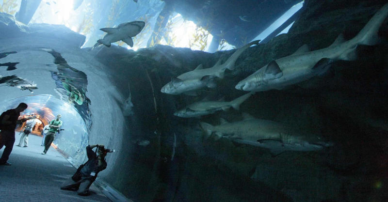 Dubai Aquarium and Underwater Zoo, United Arab Emirates Walt Disney Concert Hall, USA, "The Walkie Talkie," England, InTempo Skyscraper, Spain, Vdara Hotel and Spa, USA, Dubai Aquarium and Underwater Zoo, United Arab Emirates, Ryugyong Hotel, North Korea, Lotus Riverside Complex, China, Brooklyn Bridge Park, USA, Aon Center, USA, Žižkov Television Tower, Czech Republic, Kangbashi District, China, Citigroup Center, USA, W.E.B. Du Bois Library, USA, Santos, Brazil