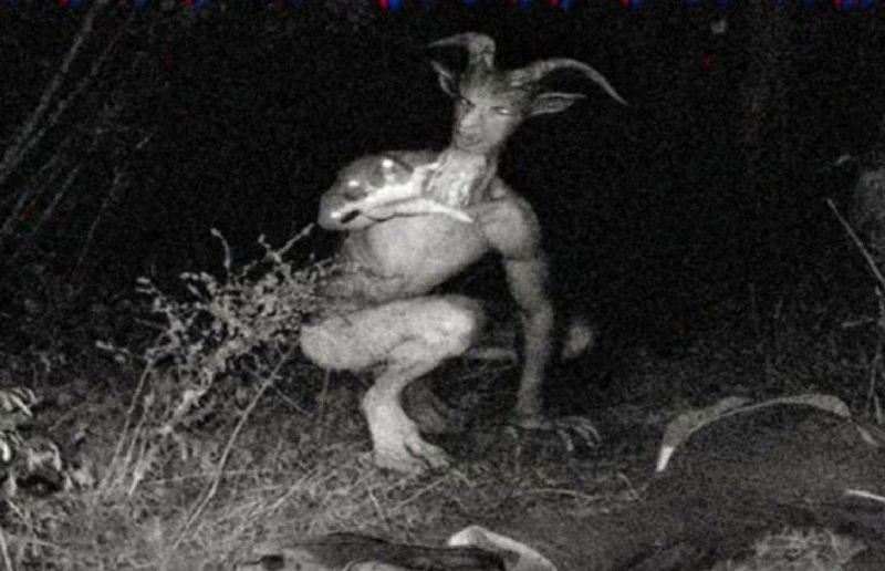 4. Goatman: The Mad Scientist's Mistake 1. The Snallygaster: Maryland's Flying Terror, 2. Jackalope: The Horned Rabbit of the West, 3. Jersey Devil: The Pine Barrens Phantom, 4. Goatman: The Mad Scientist's Mistake, 5. Skunk Ape: Florida's Fragrant Bigfoot, 6. Wendigo: The Winter Cannibal Spirit, 7. Flatwoods Monster: The Extraterrestrial Visitor, 8. Hodag: Wisconsin's Fearsome Forest Dweller, 9. Thunderbird: The Storm Bringer, 10. Mothman: The Winged Prophet of Doom
