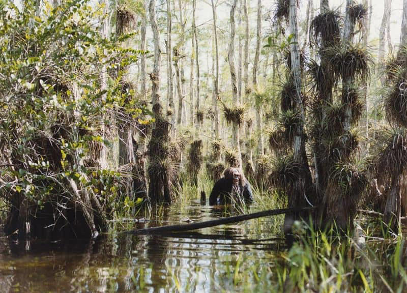 5. Skunk Ape: Florida's Fragrant Bigfoot 1. The Snallygaster: Maryland's Flying Terror, 2. Jackalope: The Horned Rabbit of the West, 3. Jersey Devil: The Pine Barrens Phantom, 4. Goatman: The Mad Scientist's Mistake, 5. Skunk Ape: Florida's Fragrant Bigfoot, 6. Wendigo: The Winter Cannibal Spirit, 7. Flatwoods Monster: The Extraterrestrial Visitor, 8. Hodag: Wisconsin's Fearsome Forest Dweller, 9. Thunderbird: The Storm Bringer, 10. Mothman: The Winged Prophet of Doom