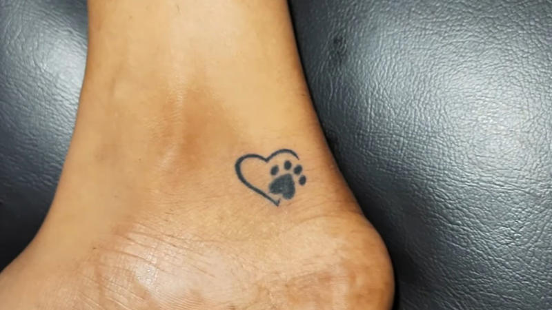 1. Dainty Butterfly On Collarbone, 2. Tiny Heart Outline On Wrist, 3. Mini Moon Behind The Ear, 4. Feather On Inner Forearm, 5. Tiny Rose On Finger, 6. Single Star On Ankle, 7. Mini Crown On Nape, 8. Cherry Blossom On Ribcage, 9. Tiny Paw Print On Foot, 10. Dandelion With Blowing Seeds, 11. Angel Wings On The Back Of The Arm, 12. Tiny Script Word On Collarbone, 13. Tiny Rainbow On Wrist, 14. Wine Glass On Hip, 15. Anchor On Side Rib, 16. Music Note Behind The Ear, 17. Lavender Sprig On Arm, 18. Infinity Symbol With Initials, 19. Tiny Mushroom Cluster On Ankle, 20. Cupcake With Cherry On Top On Hip