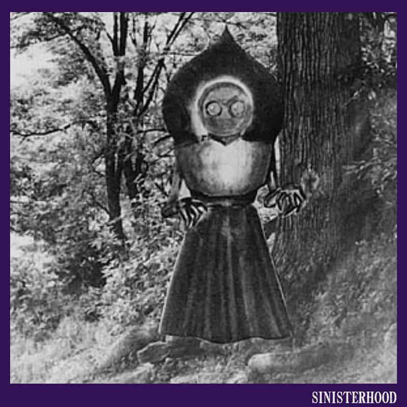 7. Flatwoods Monster: The Extraterrestrial Visitor 1. The Snallygaster: Maryland's Flying Terror, 2. Jackalope: The Horned Rabbit of the West, 3. Jersey Devil: The Pine Barrens Phantom, 4. Goatman: The Mad Scientist's Mistake, 5. Skunk Ape: Florida's Fragrant Bigfoot, 6. Wendigo: The Winter Cannibal Spirit, 7. Flatwoods Monster: The Extraterrestrial Visitor, 8. Hodag: Wisconsin's Fearsome Forest Dweller, 9. Thunderbird: The Storm Bringer, 10. Mothman: The Winged Prophet of Doom