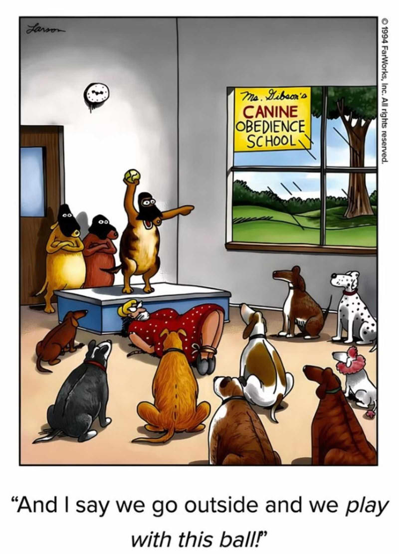Let's Be Real, Kids Are Basically Cavemen , Attention-Seeking Chaos , Gary Larson Reinvents the Oldest Homework Excuse , Alien Invasion in Room 203 , Mutiny at the Canine Academy , Teaching Troubles: When Simple Gets Complex , When Classroom Chaos Meets Greek Mythology , Larson’s Prehistoric Take on a Classic School Prank