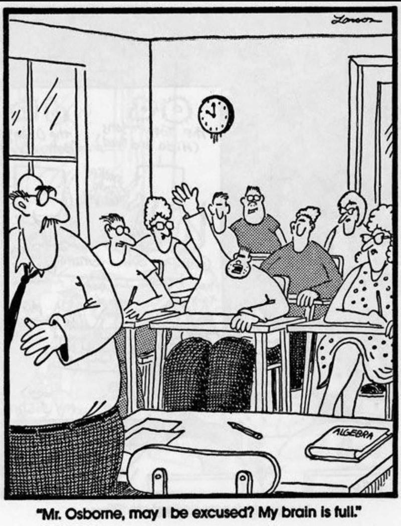 Gifted Kid Burnout , The Far Side Comic That Proves Pranking Teachers Is Prehistoric , Even The Far Side Has Its Designated Attention-Seeker , Some Students Are Impossible to Forget , Everyone Knows Horses Are Math Wizards , This Strip Speaks for Every Overloaded Student , Even Birds Have to Take Mandatory Language Classes