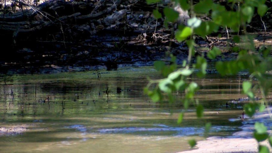 Visit the Petroglyph National Monument, Take a stroll through Old Town, Ride the tram, Grab lunch and go shopping in Nob Hill, Browse through a museum or two, Check out some local art, Hike the Sandias, Stop by the BioPark, Stroll through the Bosque