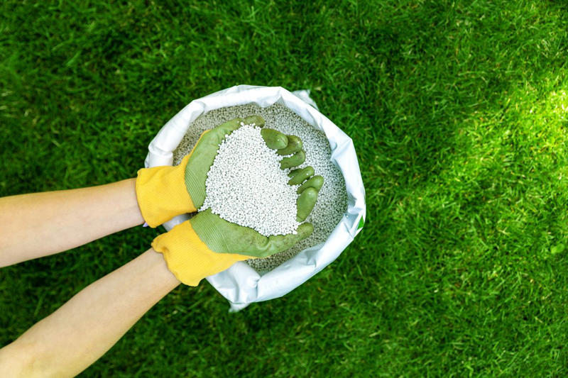 Does Every Lawn Need to Be Fertilized? , How Often Should I Fertilize My Lawn?, Is There a Wrong Time to Fertilize My Lawn?, What Are the Risks of Over-Fertilizing?, How to Ensure Even Fertilization, What Is the Best Kind of Fertilizer? , Should I Do a Soil Test Before Fertilizing? , Other Fertilizing Tips