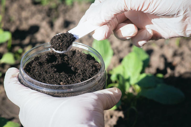 Does Every Lawn Need to Be Fertilized? , How Often Should I Fertilize My Lawn?, Is There a Wrong Time to Fertilize My Lawn?, What Are the Risks of Over-Fertilizing?, How to Ensure Even Fertilization, What Is the Best Kind of Fertilizer? , Should I Do a Soil Test Before Fertilizing? , Other Fertilizing Tips