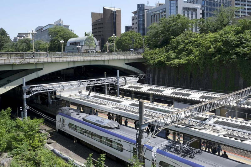 高低差克服の橋梁網200超, 約2884haの巨大ニュータウン, 「都内最古」陸橋の謎, 国道拡幅による保存の危機と挑戦, 伝統と革新が交差する橋梁