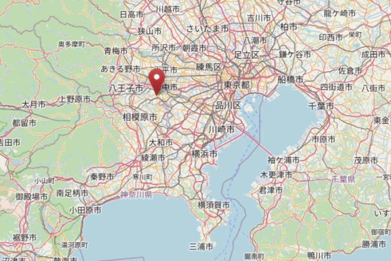 高低差克服の橋梁網200超, 約2884haの巨大ニュータウン, 「都内最古」陸橋の謎, 国道拡幅による保存の危機と挑戦, 伝統と革新が交差する橋梁