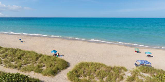 Enjoy Beaches And Water Sports, Explore Nature Preserves And Parks, Immerse Yourself In Local Arts And Culture, Where To Eat