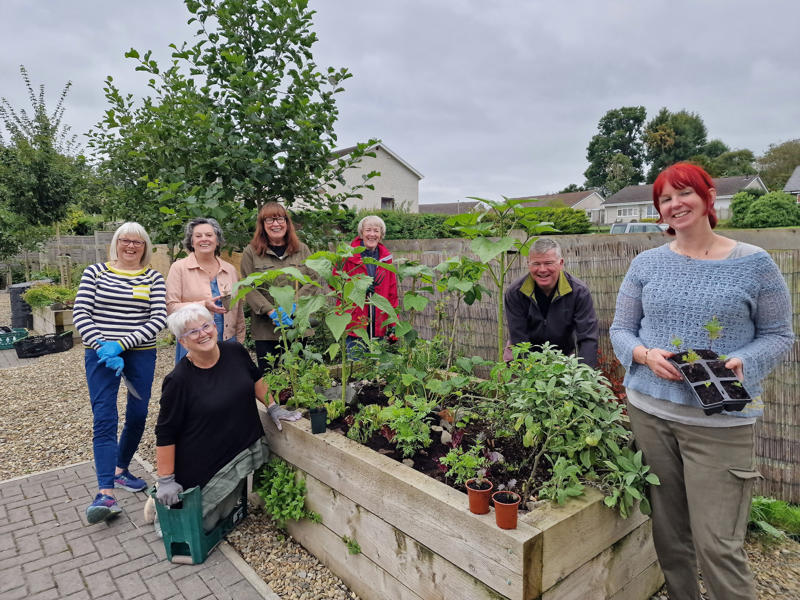They help people connect, They encourage healthy eating, They tackle gardening guilt, They encourage kindness, They help people with illnesses, They encourage recycling creativity, They promote seed-saving
