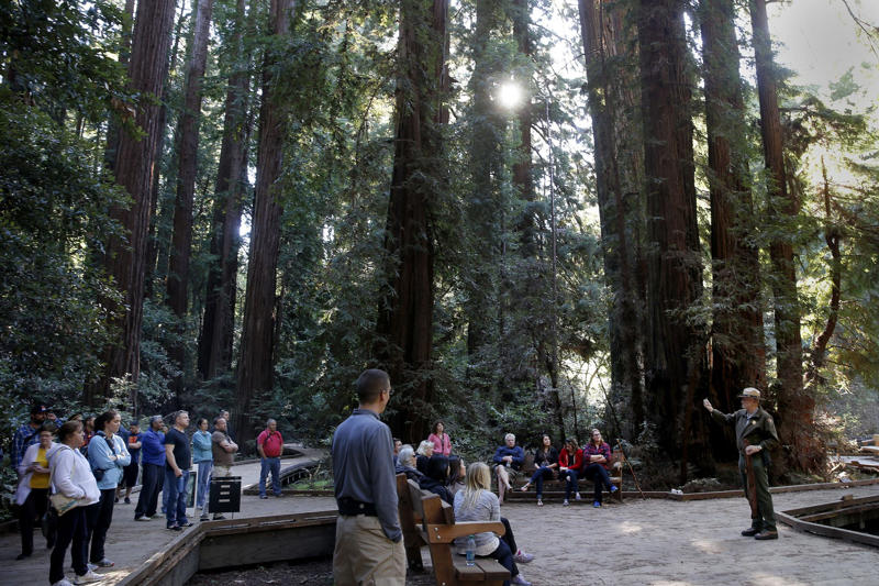 A summer camp like no other, A real who's who of America's 1%, Exclusive and secret, It will take a while (and a lot of money), Anything but bohemians, Located north of San Francisco, The Cremation of Care, A good time for networking like any other, Mysterious woods, Uninvited guest, Friends in high places