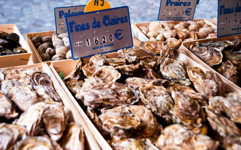 10. Frioul, Provence, 9. Embiez, Provence, Brittany, 7. Port-Cros, Provence, Brittany, 5. Bréhat, Brittany, 4. Oléron, Charente Maritime, 3. Porquerolles, Provence, 2. Belle Île, Brittany, 1. Ouessant, Brittany